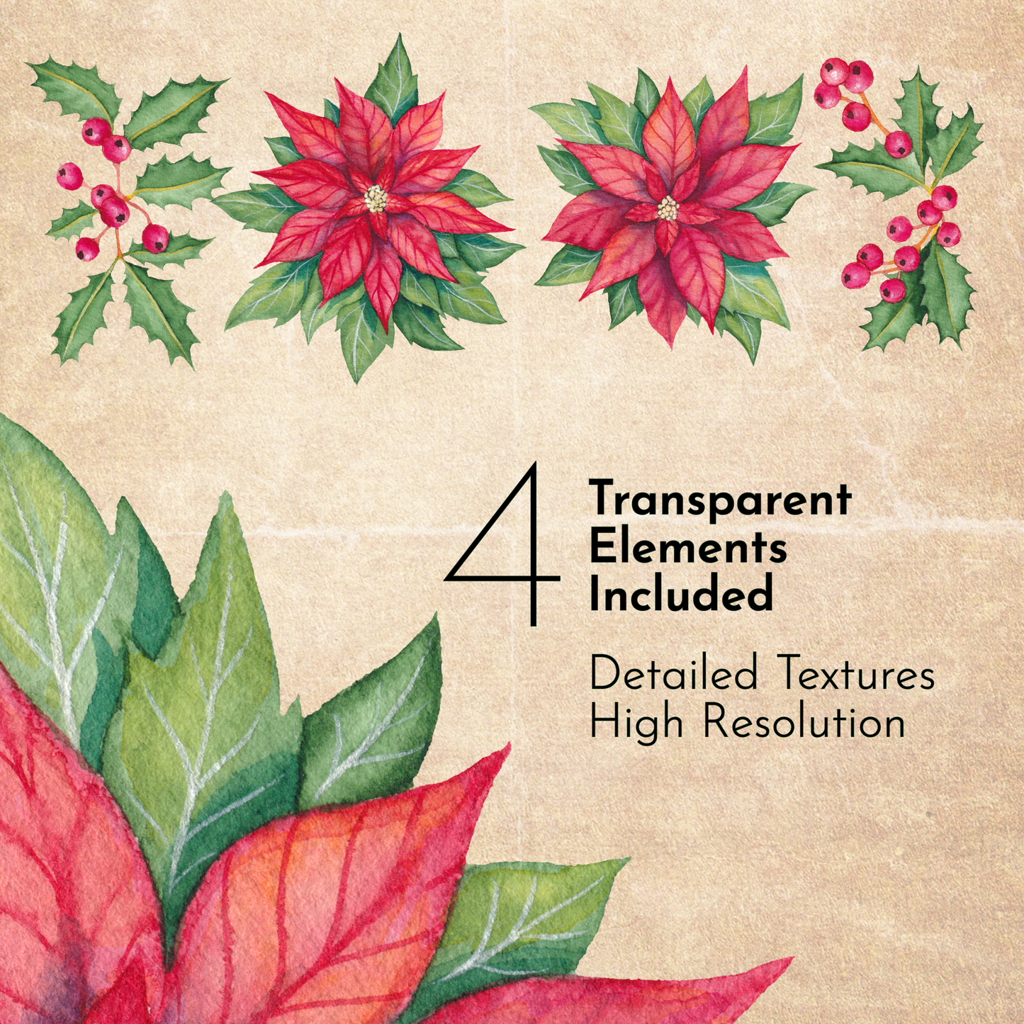Poinsettias and Holly - Seamless Patterns & Design Elements - Digital Download